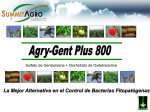 Agry Gent Plus 800