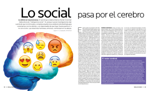 lo social pasa por el cerebro