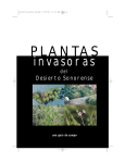 plantas - Sonoran Institute