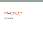 Práctica 7 - TEC Digital