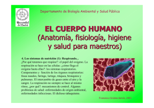 EL CUERPO HUMANO (Anatomía, fisiología, higiene y salud