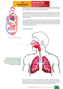 pensemos que una persona puede pasar varios