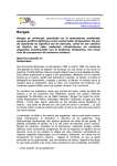 Borges - Corporación Viva la Ciudadanía