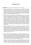 Programa Teórico