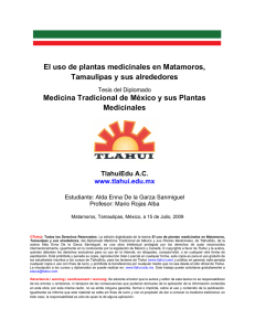 El uso de plantas medicinales en Matamoros, Tamaulipas y