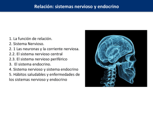 Relación: sistemas nervioso y endocrino