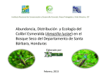 Abundancia, Distribución y Ecología del Colibrí Esmeralda