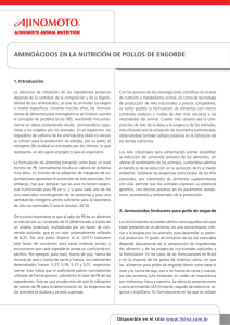 aminoácidos en la nutrición de pollos de engorde