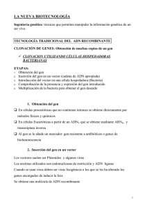 Tema 22 Ingeniería genética