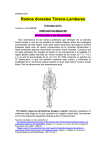 Ramos dorsales Tóraco-Lumbares Introducción