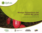 Manejo fitosanitario cultivo de Cacao (Theobroma cacao)