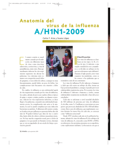 Anatomía del virus de la influenza A/H1N1-2009