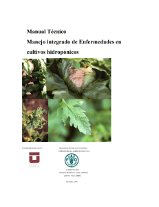 Manual Técnico Manejo integrado de Enfermedades en cultivos