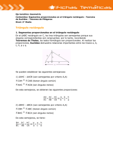 Triángulo rectángulo