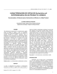 CARACTERIZACIÓN DE CEPAS DE Escherichia coli
