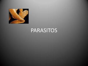 parasitos 2013