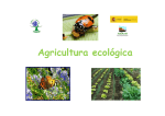 agricultura ecologica