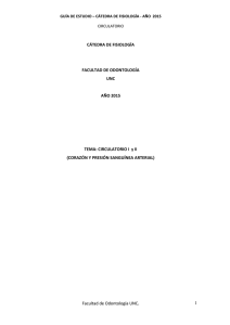 gu&iacute;a de estudio