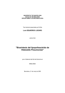 "Biosíntesis del lipopolisacárido de Klebsiella Pneumoniae"