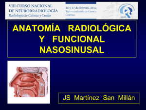 anatomía radiológica y funcional nasosinusal