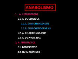 anabolismo