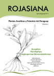 Plantas Acuáticas y Palustres del Paraguay