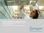 Tema 1 APB - Colegio Oficial de Farmaceuticos de Granada