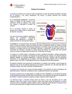 Sistema Circulatorio