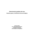 Nuestros genes y la determinación del sexo