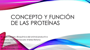 Concepto y función de las Proteínas