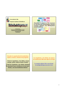 Entender la organización del metabolismo supone, al menos
