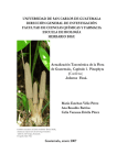 Actualización taxonómica de la flora de Guatemala - DIGI