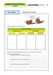 Unidad 3 CIENCIAS NATURALES LAS PLANTAS