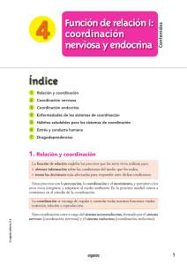 Índice Función de relación I: coordinación nerviosa y