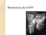 Biomecánica de la ATM