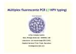Múltiplex fluorescente PCR ( f-HPV typing)