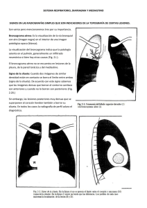 sistema respiratorio, diafragma y mediastino signos en