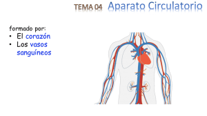 Presentación SISTEMA CIRCULATORIO