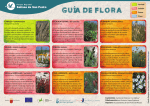 guía de flora - Ayuntamiento de San Pedro del Pinatar