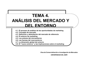 tema 4. análisis del mercado y del entorno
