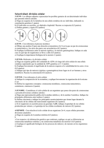 Selectividad: división celular