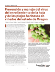 Prevención y manejo del virus del enrollamiento de la hoja y de los