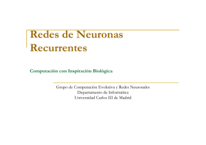 Redes de Neuronas Recurrentes