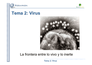 Tema 2: Virus