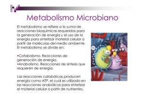 Metabolismo bacteriano