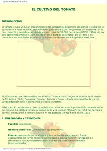Ficha técnica del cultivo del tomate