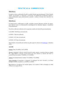 PRÁCTICAS de EMBRIOLOGÍA