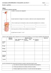 actividades de recuperación biología 2º evaluación 3º eso