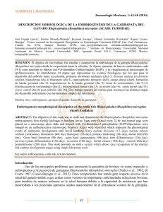 PDF - Pags. 43-48 - Entomología mexicana