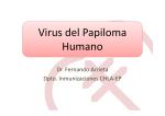 Virus del Papiloma Humano - CHLA-EP